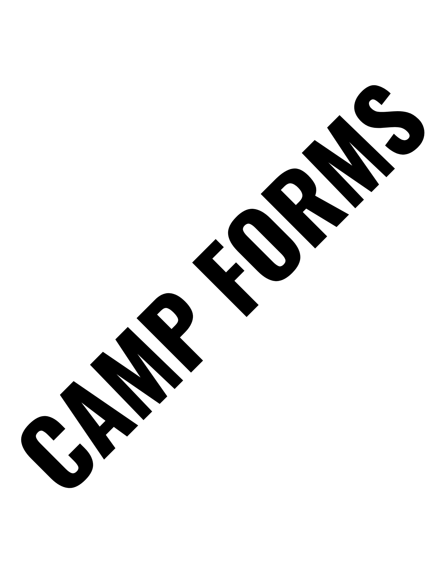 CAMP FORMS